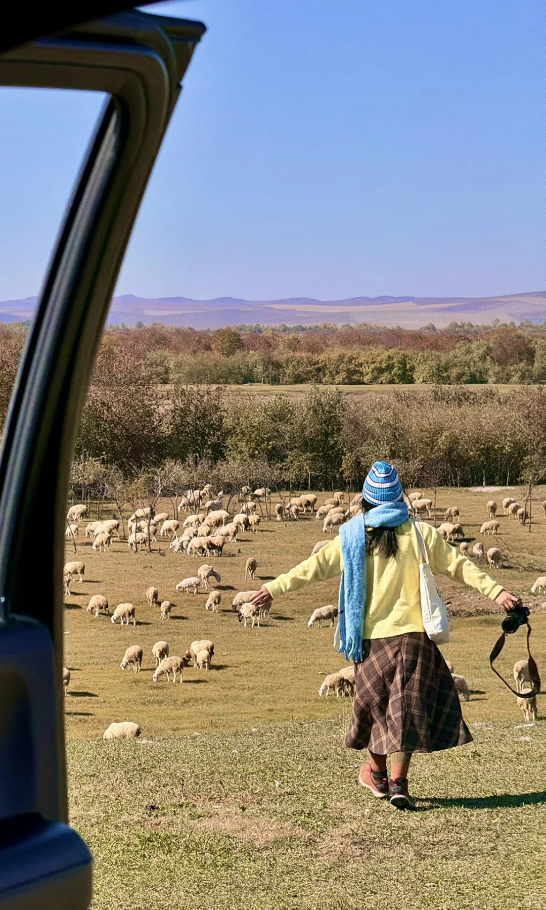 这是我见过人生最美的秋天🍂大兴安岭