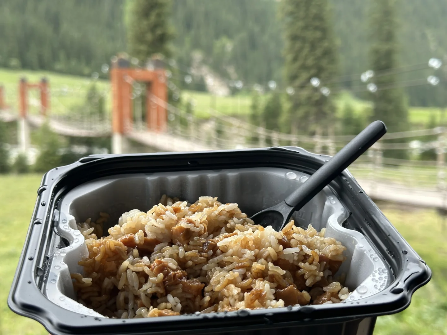 伊犁八天攻略｜伊昭公路+夏塔篇