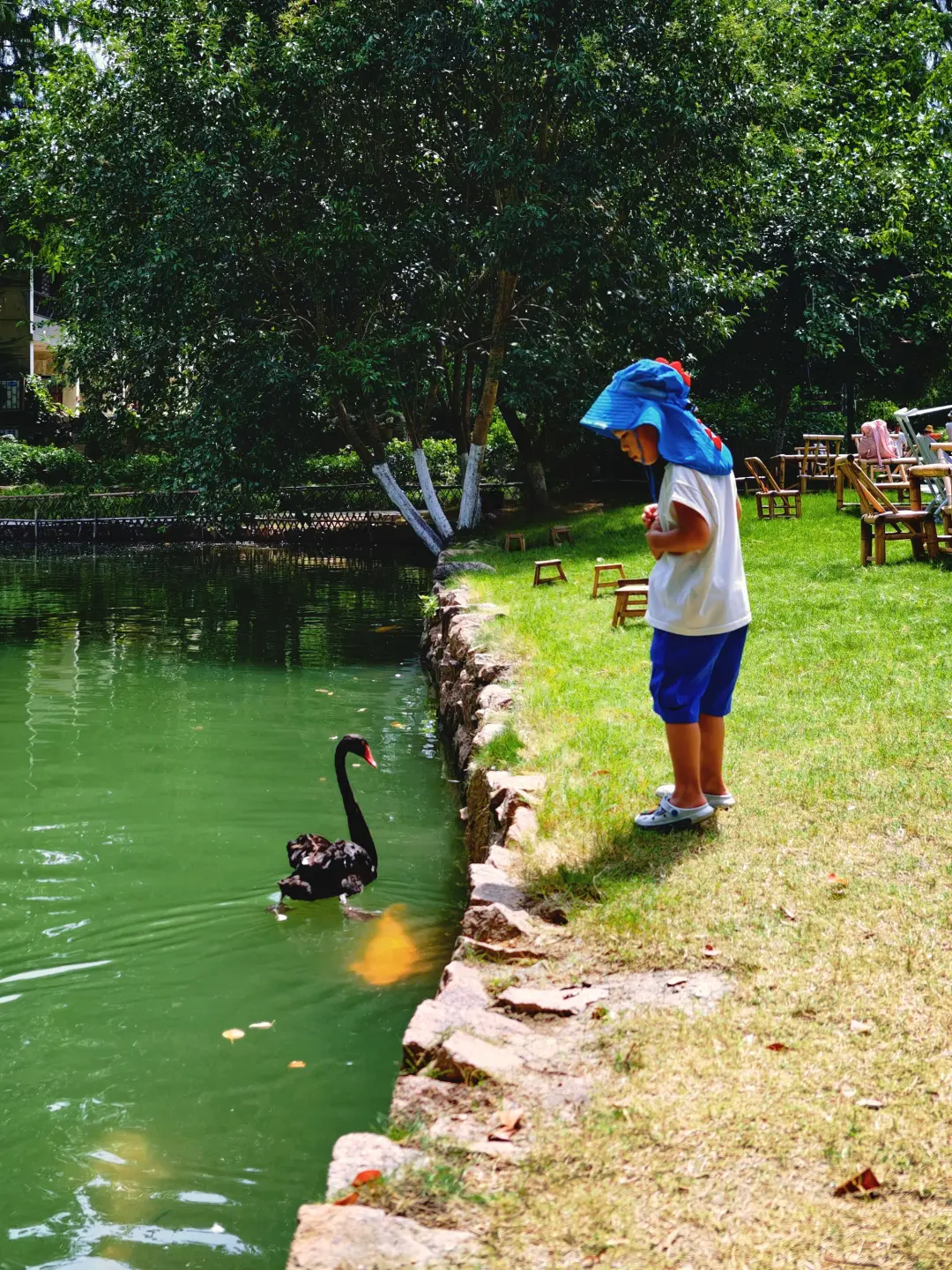 别再问我乌镇乌村亲子游怎么玩儿了，直接抄