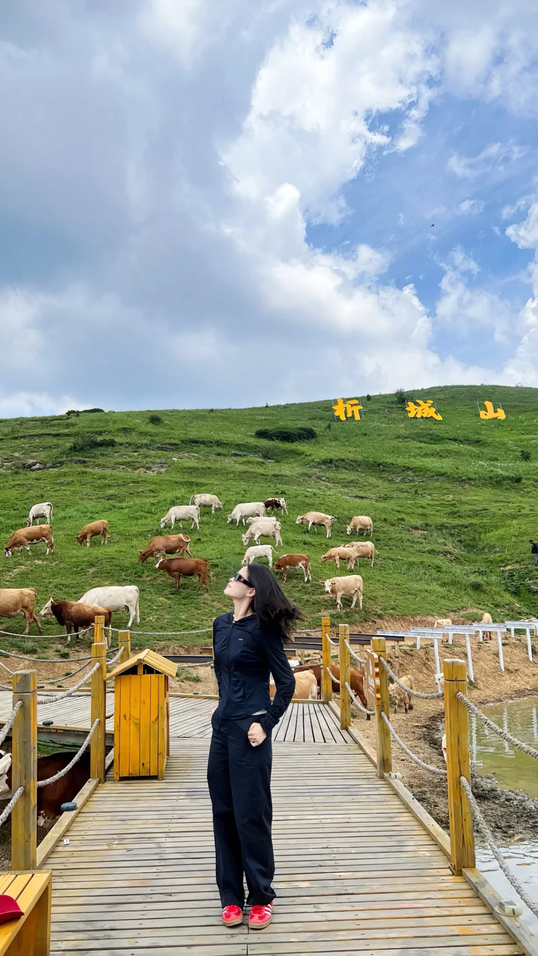📍山西晋城 析城山 小阿勒泰