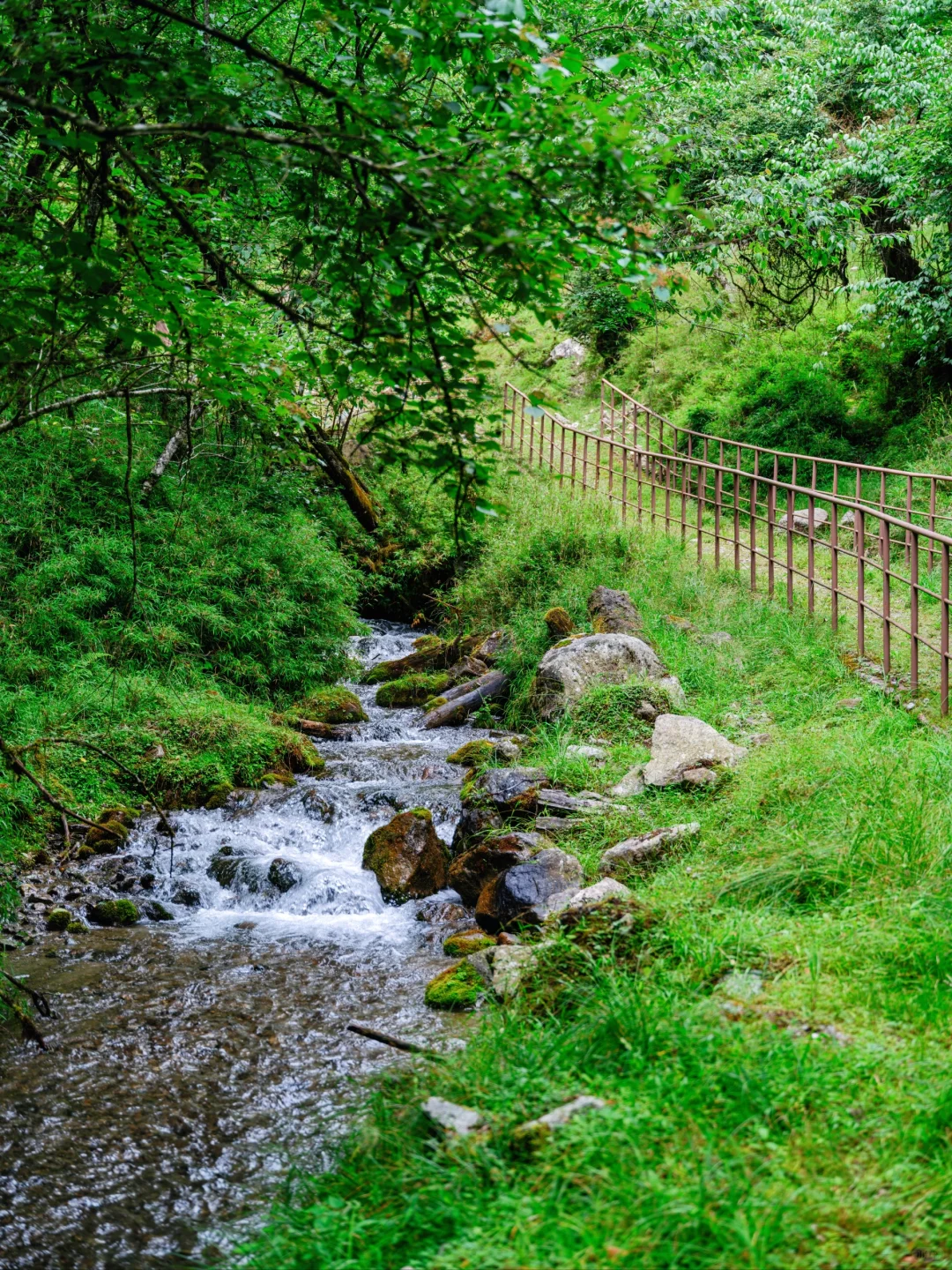 周末48H逃离成都!躲进23℃山里避暑徒步