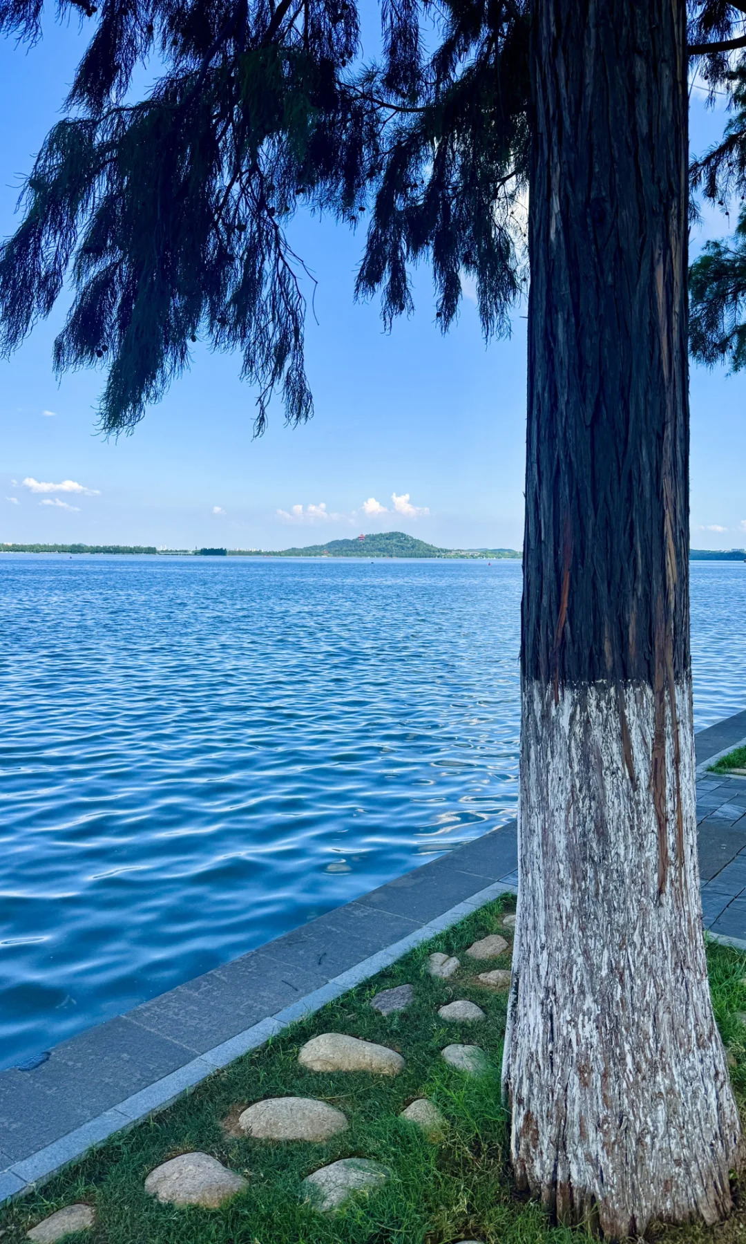 8.16实拍，亲测东湖听涛景区，游玩攻略已整理