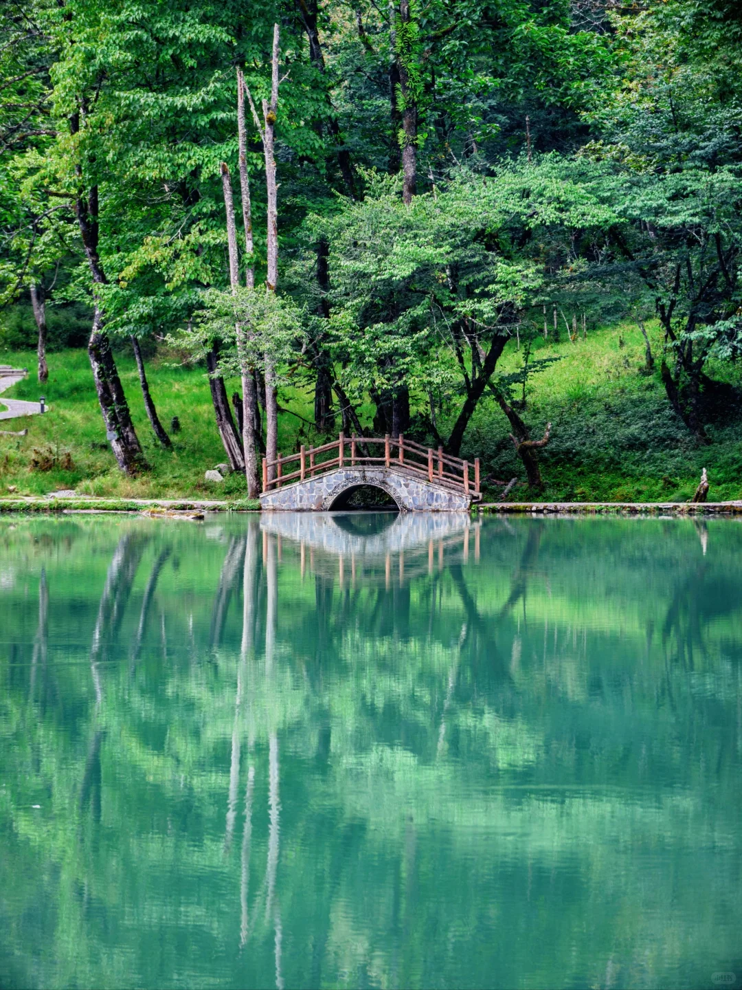 周末48H逃离成都!躲进23℃山里避暑徒步
