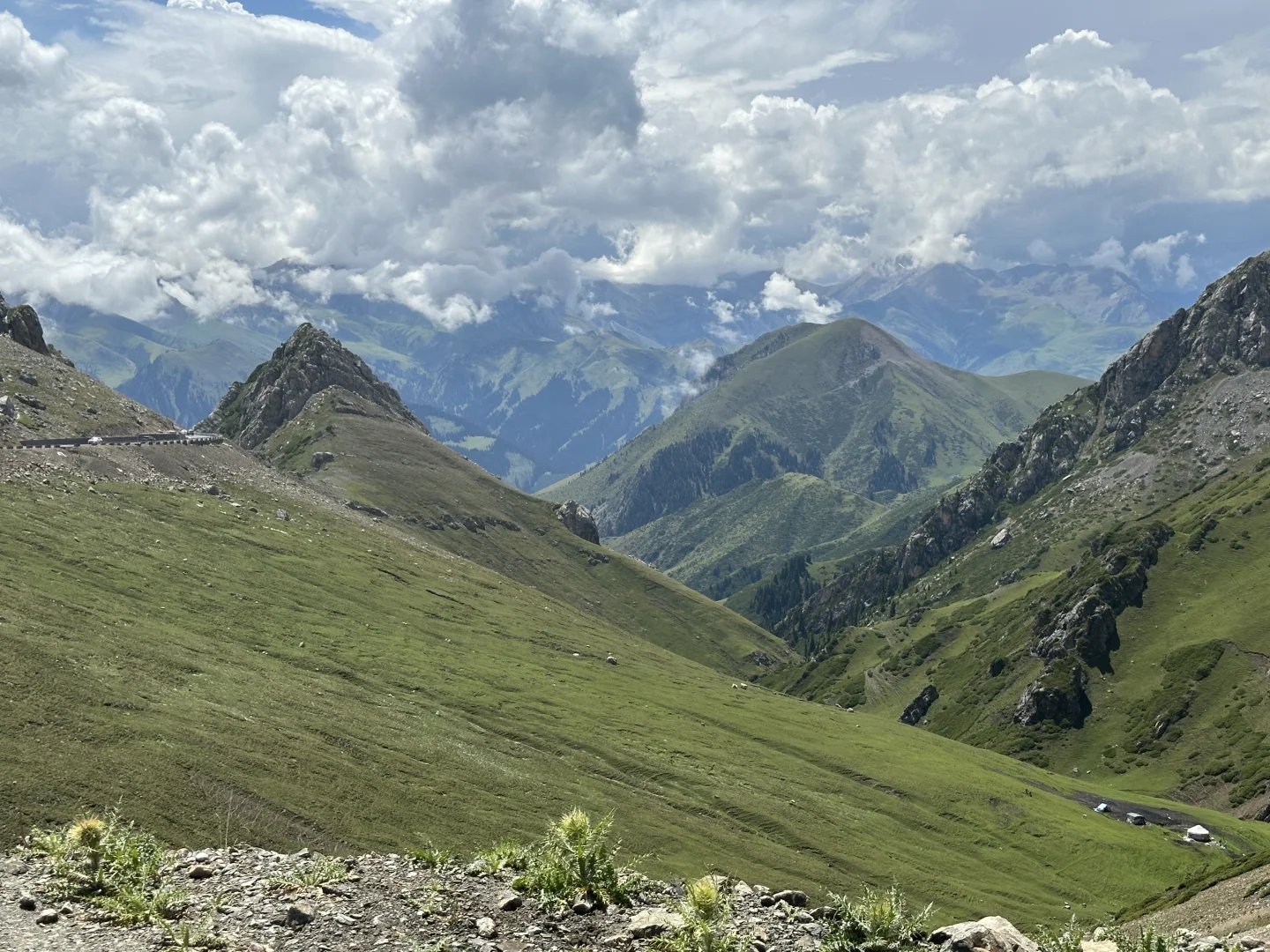 伊犁八天攻略｜伊昭公路+夏塔篇
