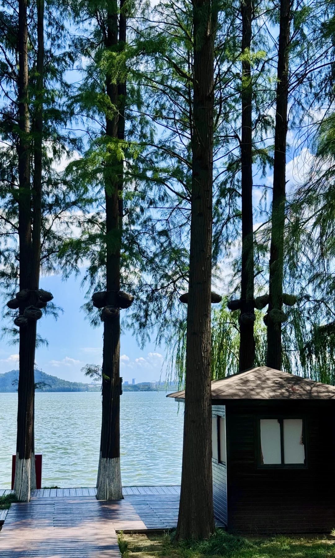 8.16实拍，亲测东湖听涛景区，游玩攻略已整理