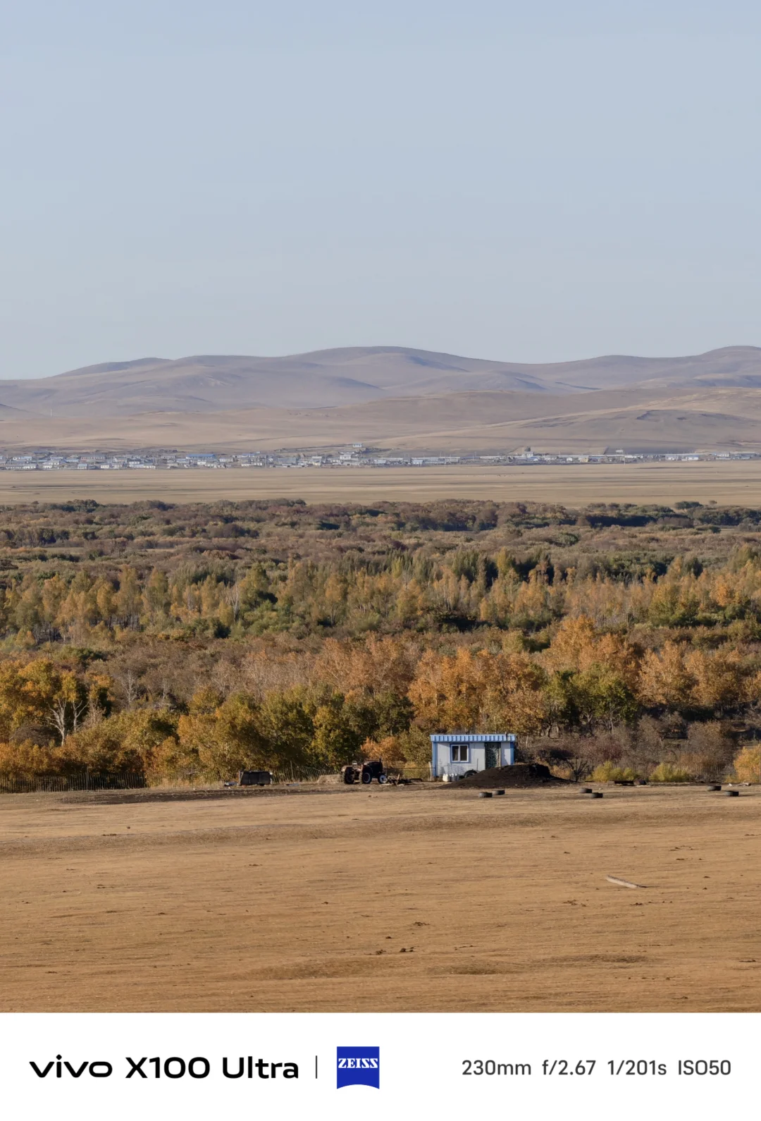 这是我见过人生最美的秋天🍂大兴安岭