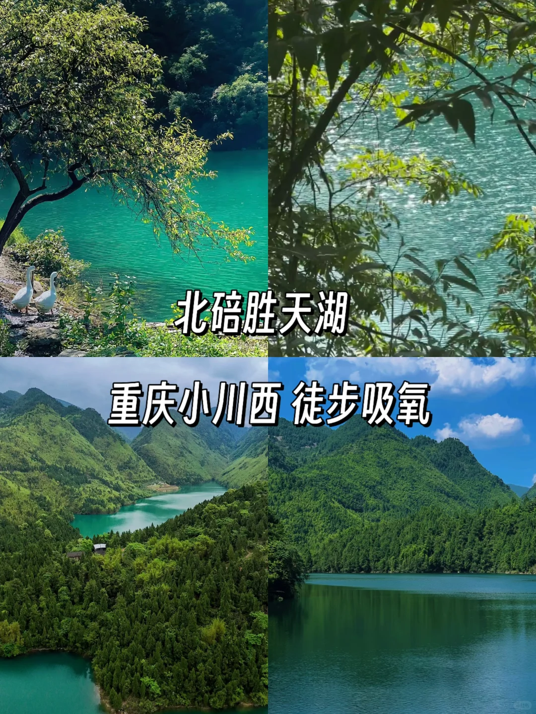 重庆小众旅游景点避开人挤人‼️赶紧收藏 ❗️