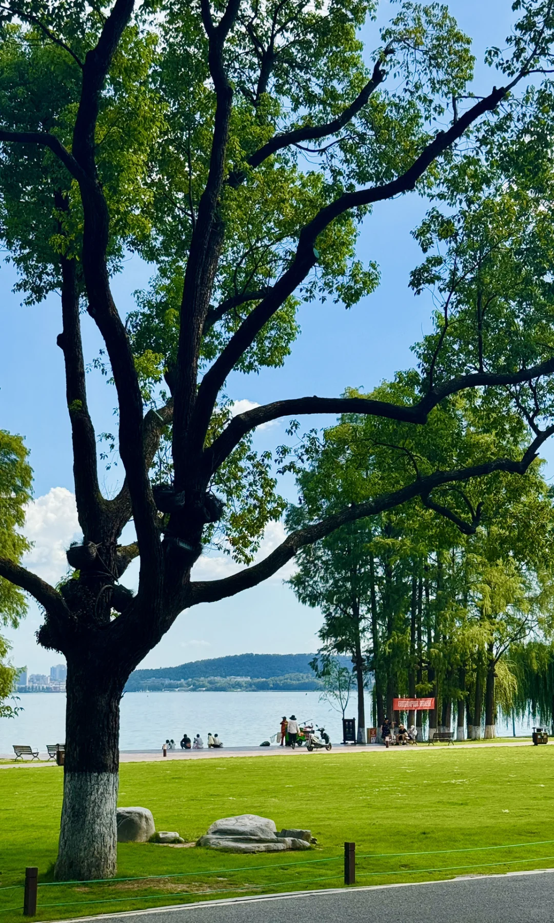 8.16实拍，亲测东湖听涛景区，游玩攻略已整理