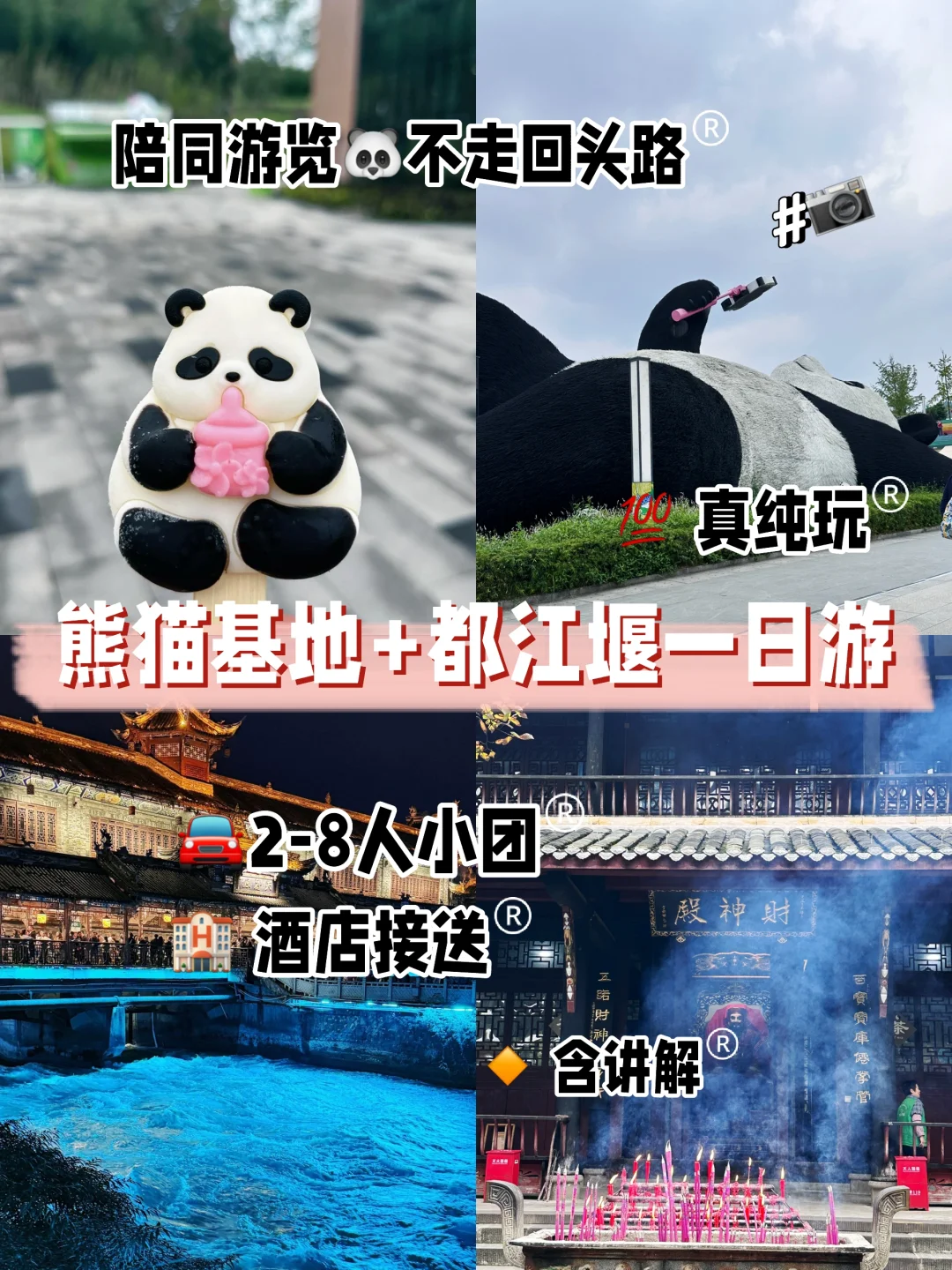 省心玩熊猫基地💧都江堰小团一日游🚘真纯玩