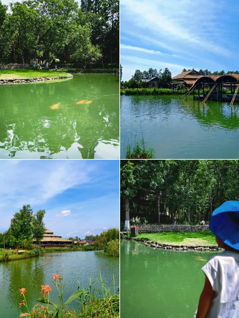 别再问我乌镇乌村亲子游怎么玩儿了，直接抄