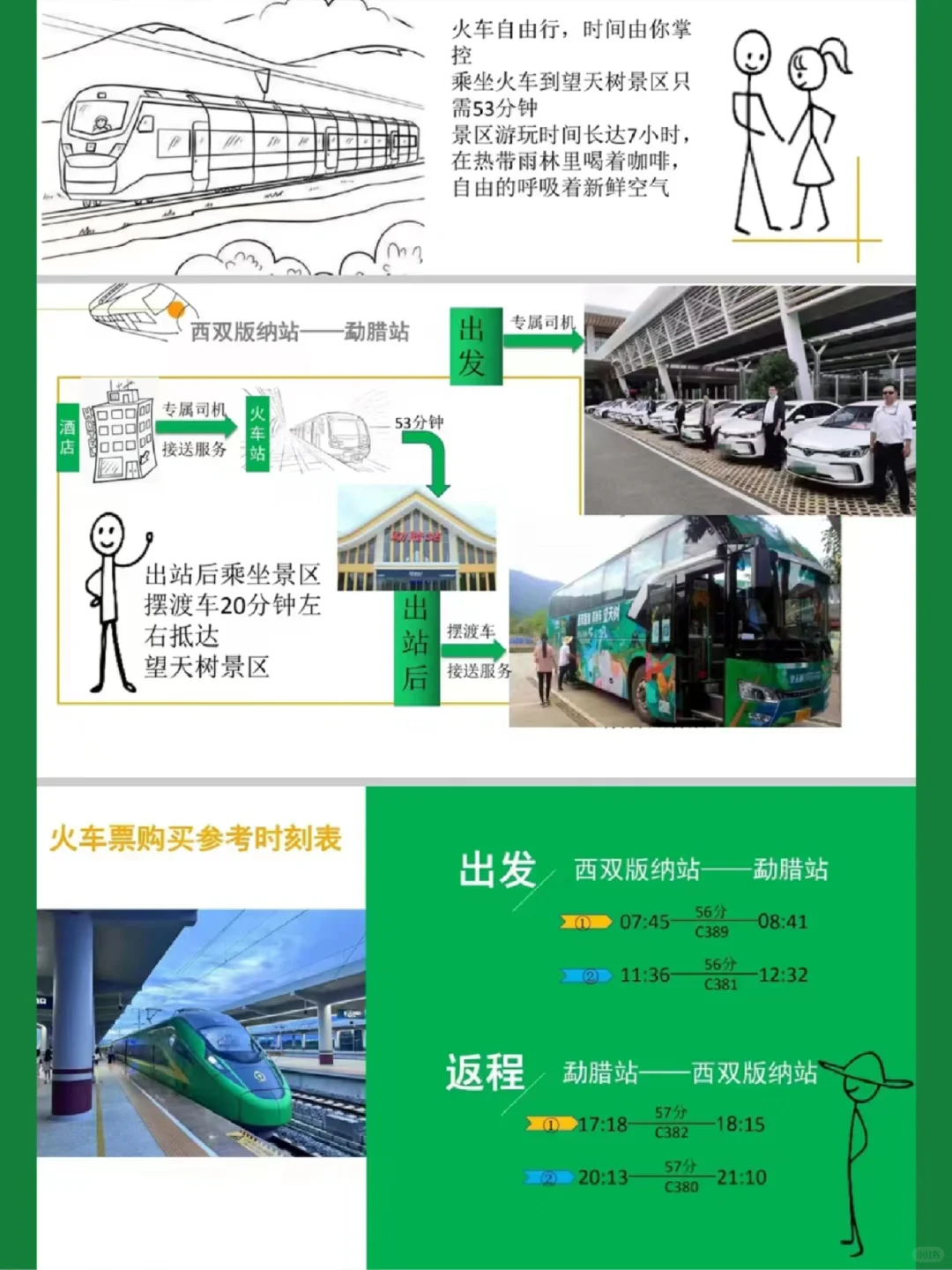 冲冲冲🌲望天树景区套票限时特惠预订