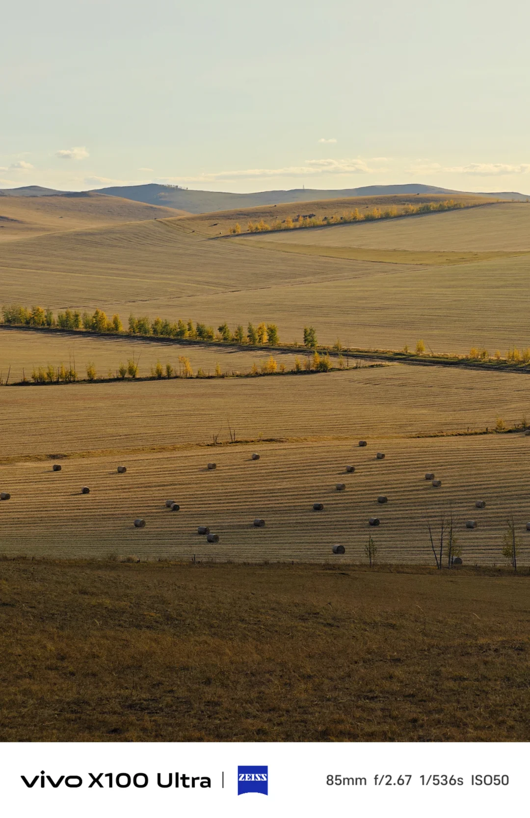 这是我见过人生最美的秋天🍂大兴安岭