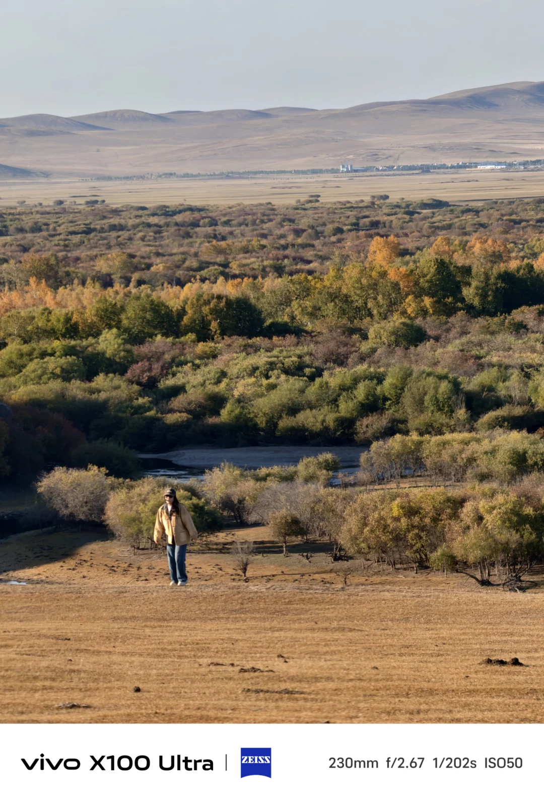 这是我见过人生最美的秋天🍂大兴安岭