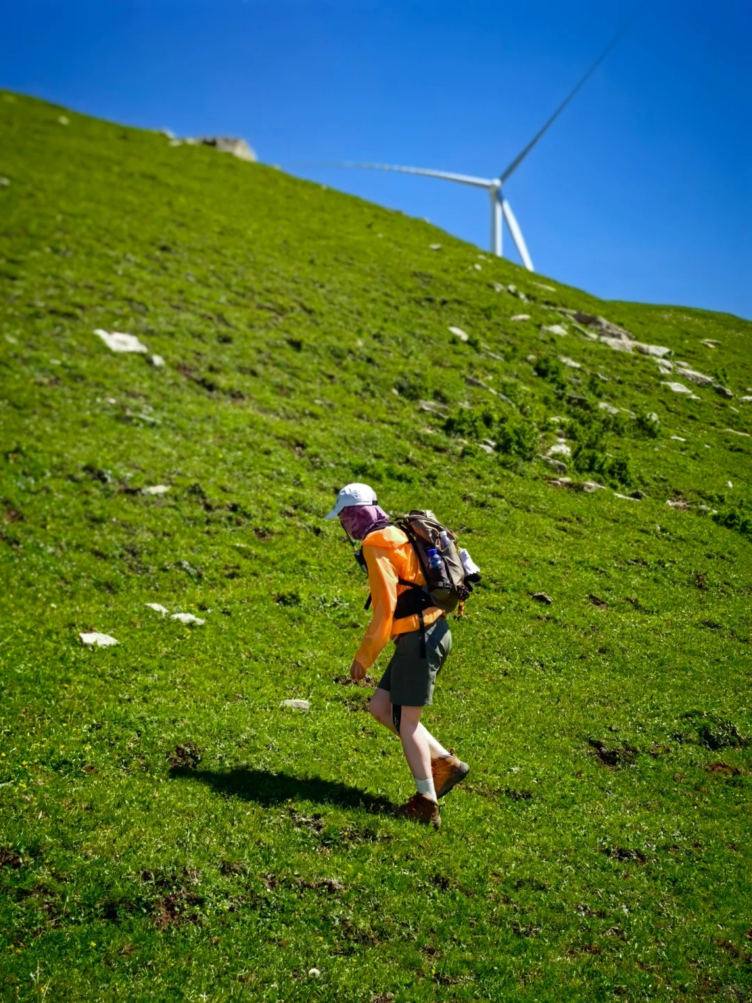 “读错过的举个手，这里是河北蔚（yù）县”