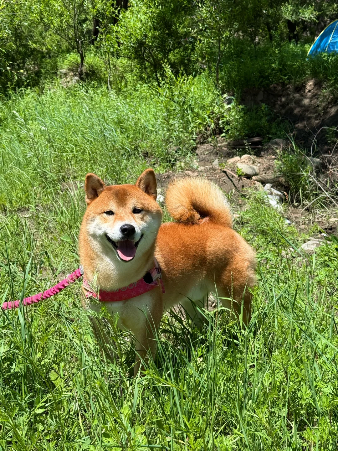 张家口小众自驾路线🚗 我找到了翡翠湖🩵💚