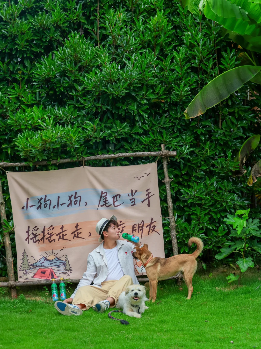 朋友圈被问疯了，都以为我又去了趟冰岛……