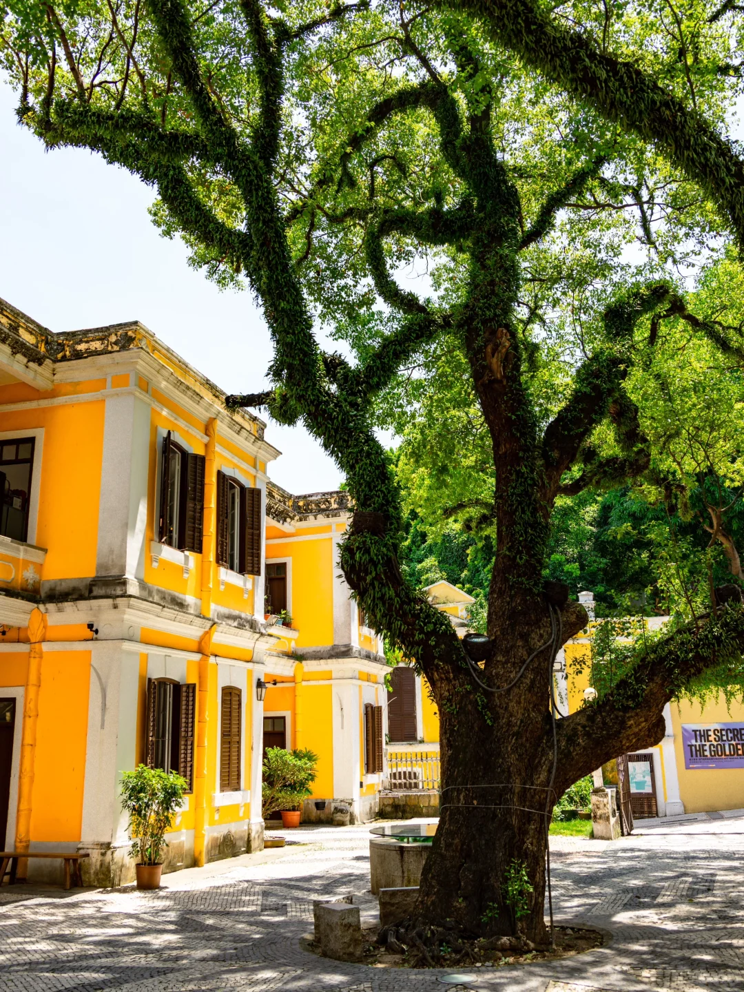 澳门旅行回来后，人生观发生了剧变……