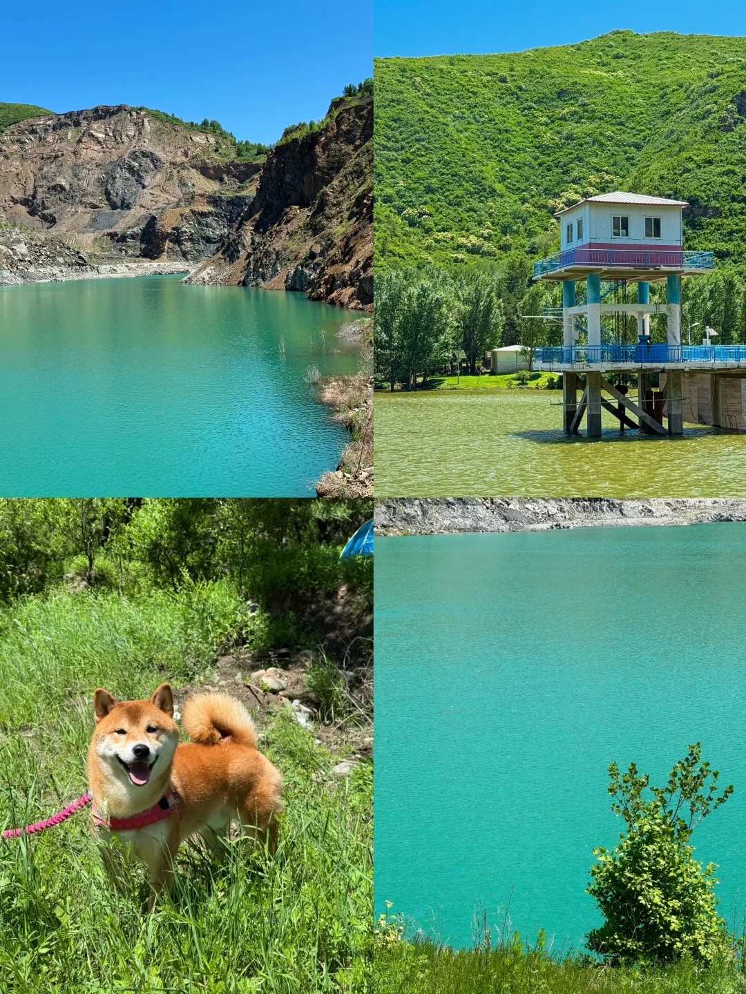 张家口小众自驾路线🚗 我找到了翡翠湖🩵💚
