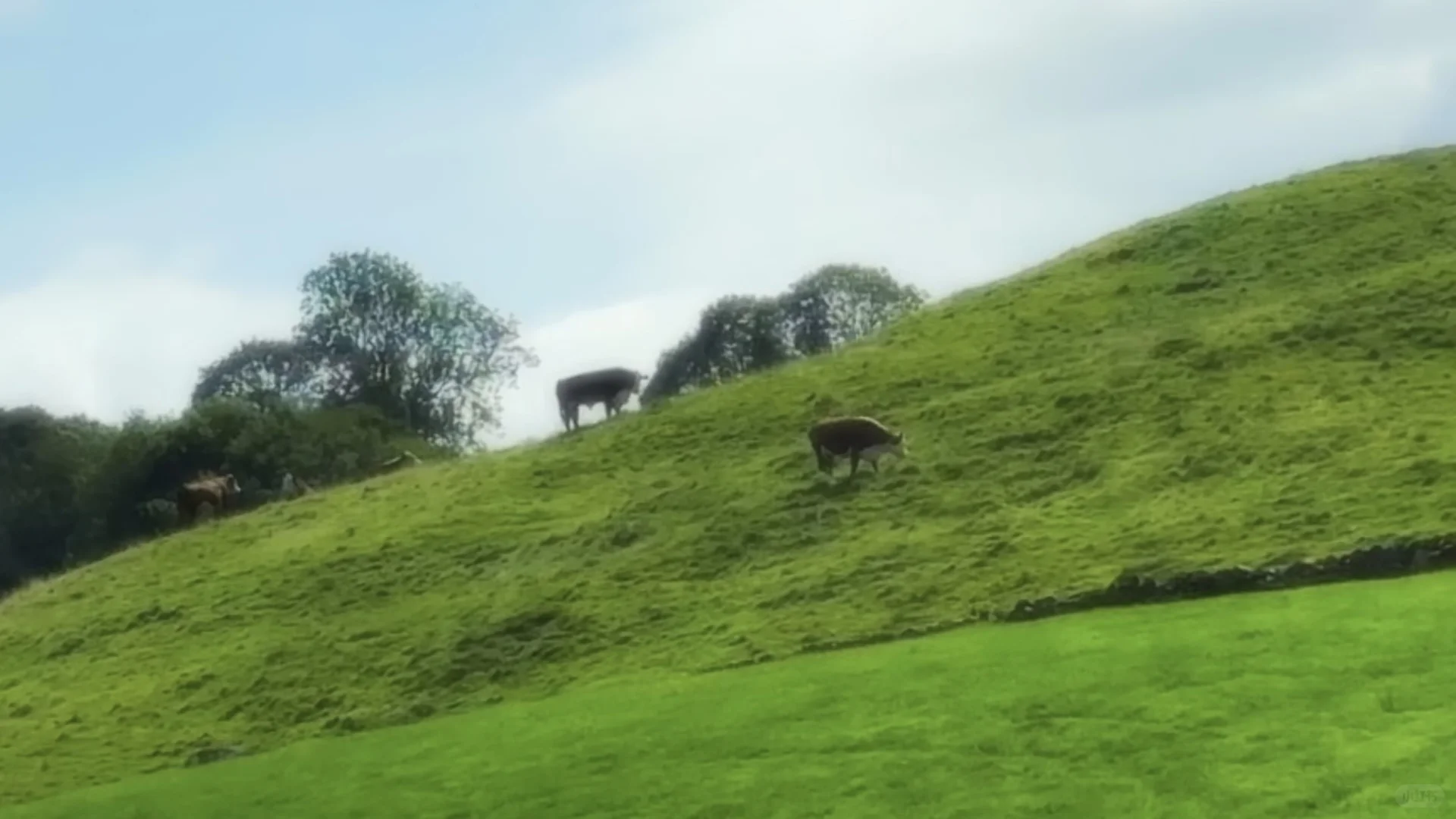 英国旅游记录｜02