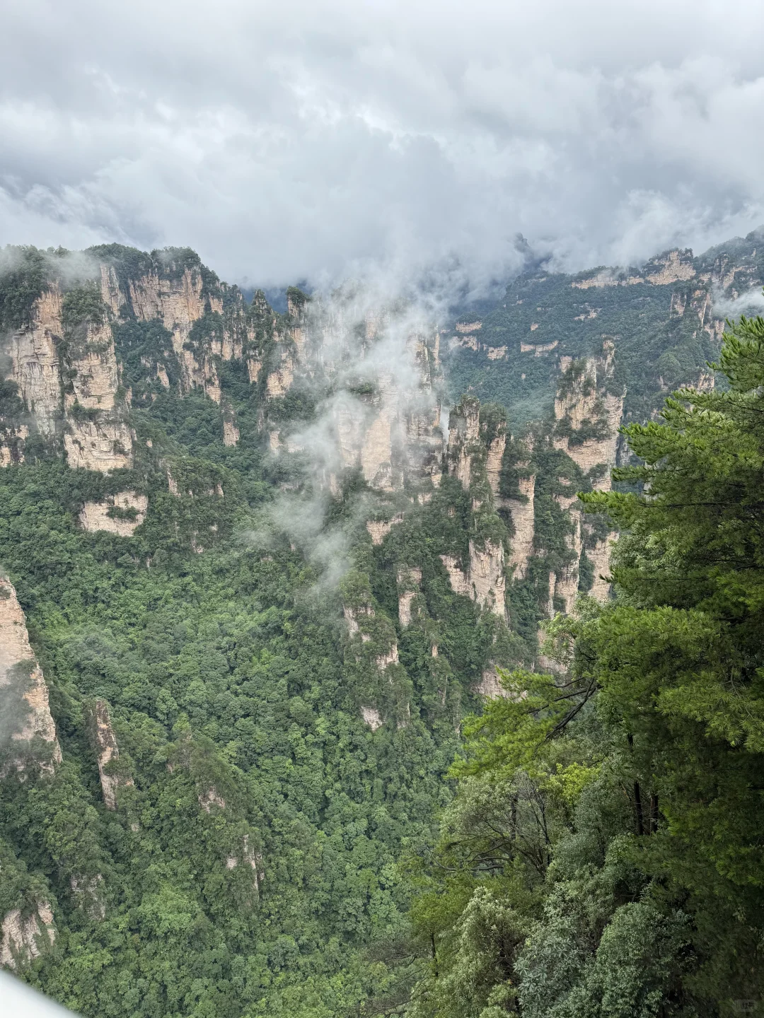 张家界 一个还会再来的地方⛰️⛰️
