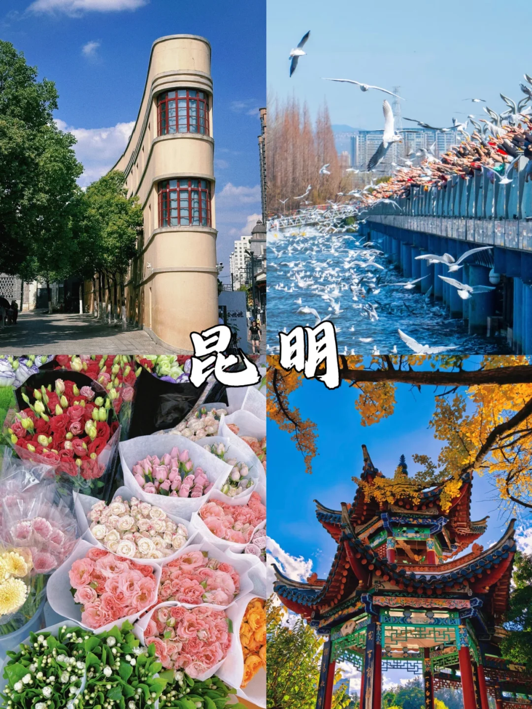 云南6天5晚人均1000+💰一价全含❗️❗️