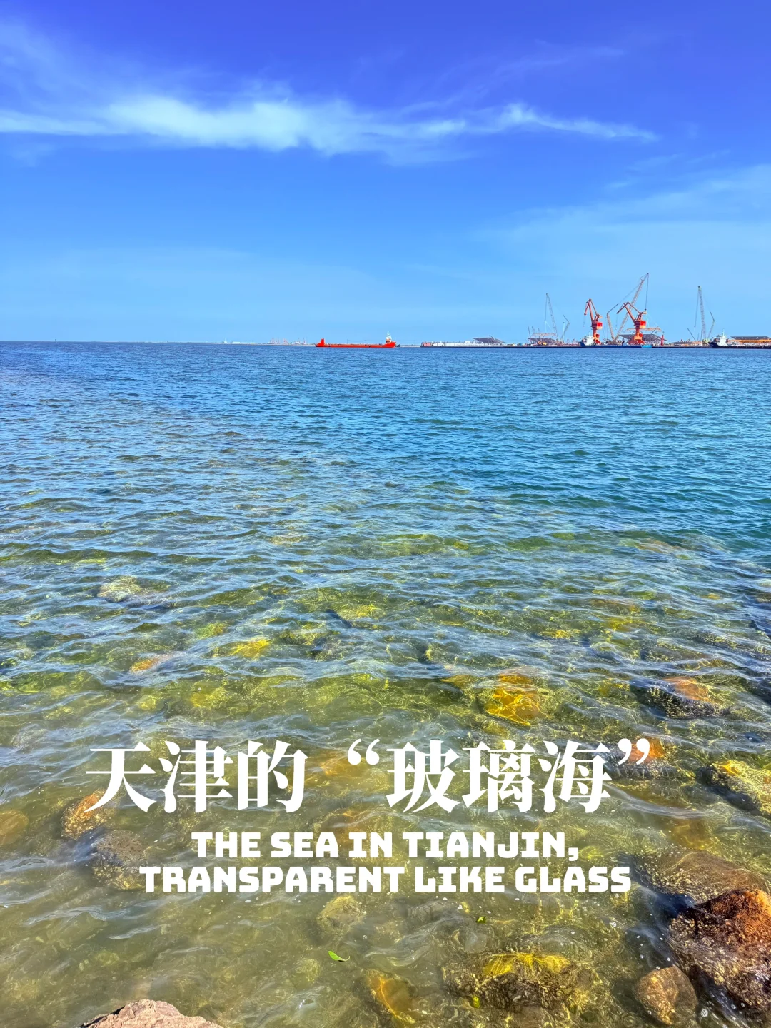 7.6实拍！天津这海很干净‼️免费人少还出片📷