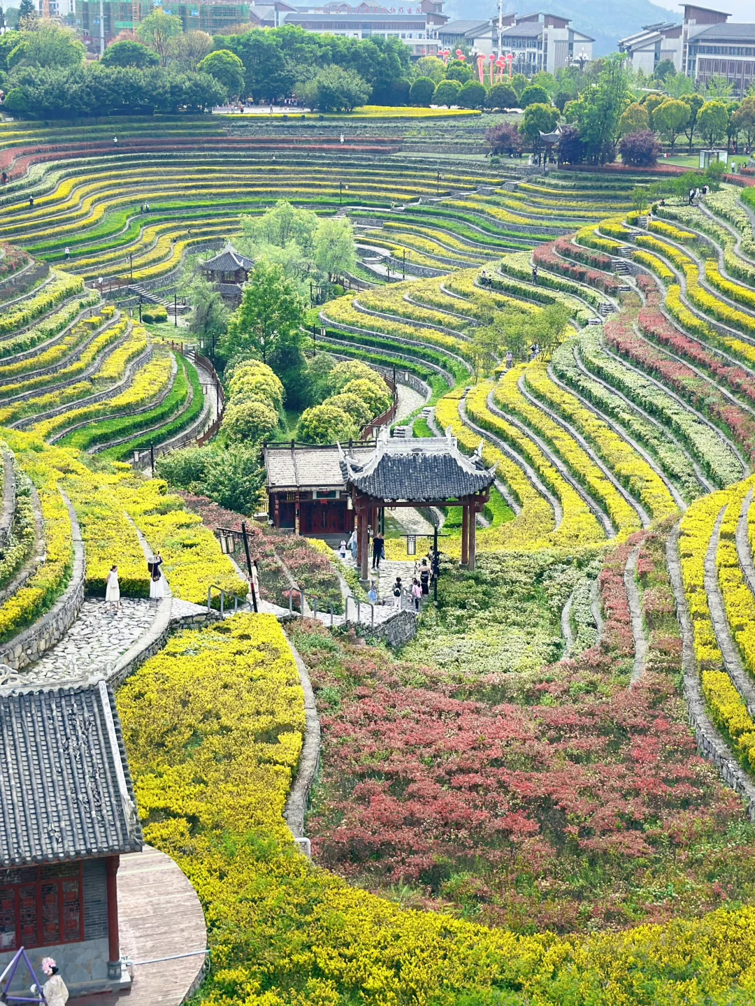 甘为牛马者｜藏着天地心【阿西里西】