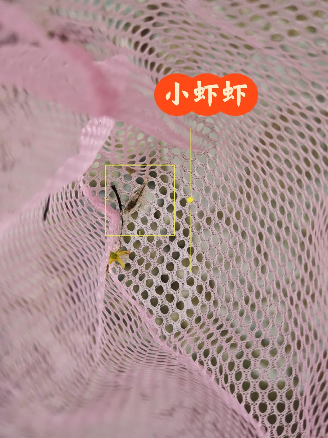 南京周边一小时玩水指南