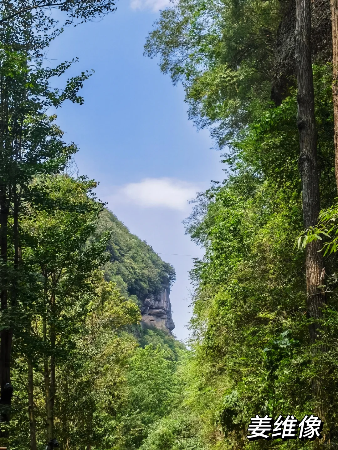 一次讲清楚！怎么免票玩剑门关+翠云廊！
