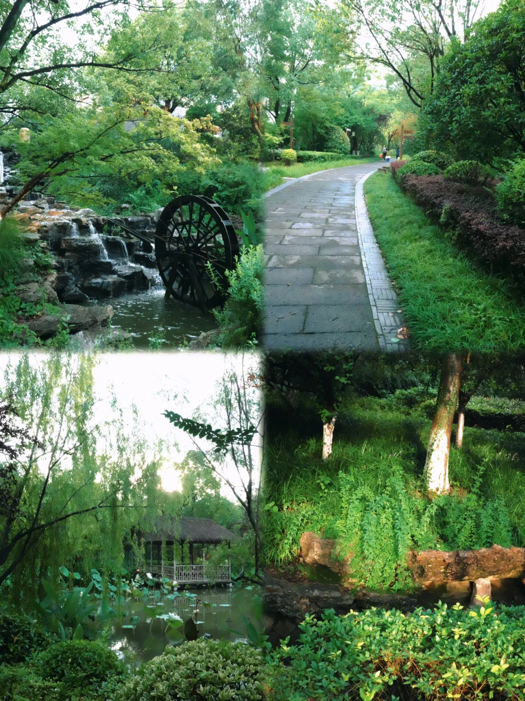 周五冲莫干山！三天两晚攻略，不踩雷💣