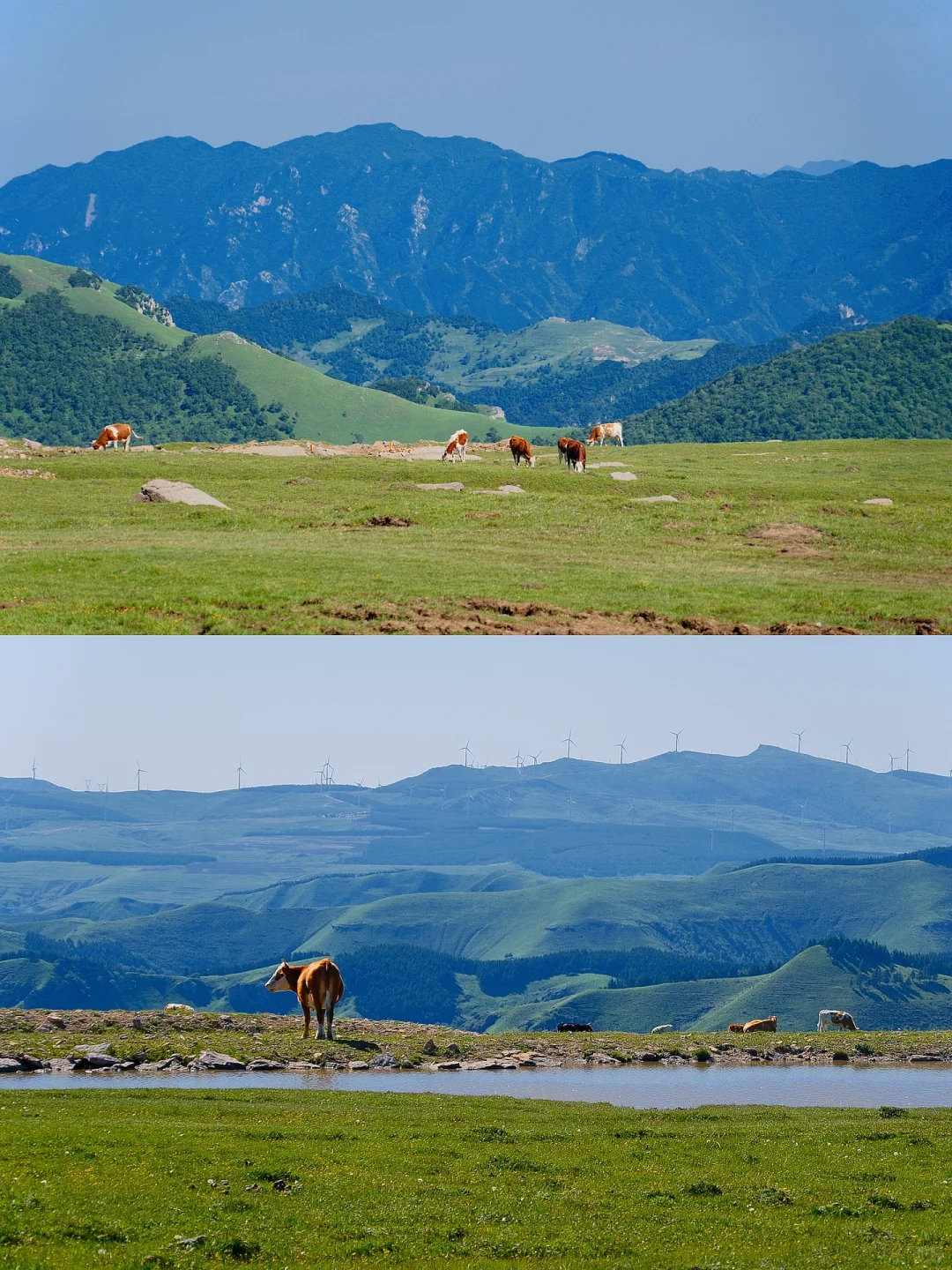 “读错过的举个手,这里是河北蔚(yù)县”