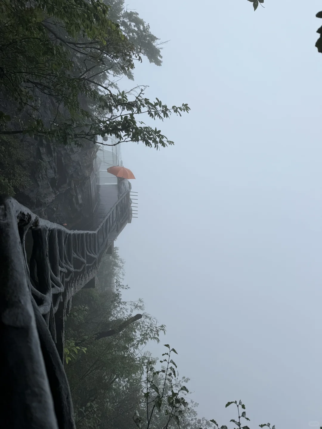 张家界 一个还会再来的地方⛰️⛰️