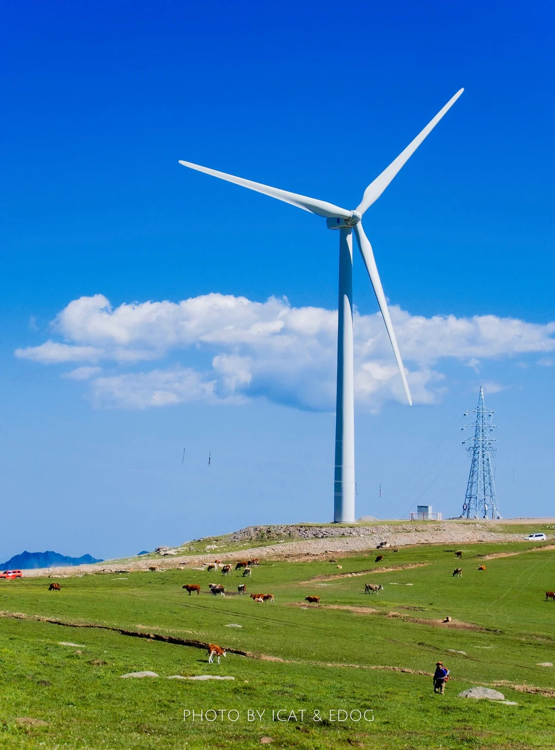 “读错过的举个手，这里是河北蔚（yù）县”