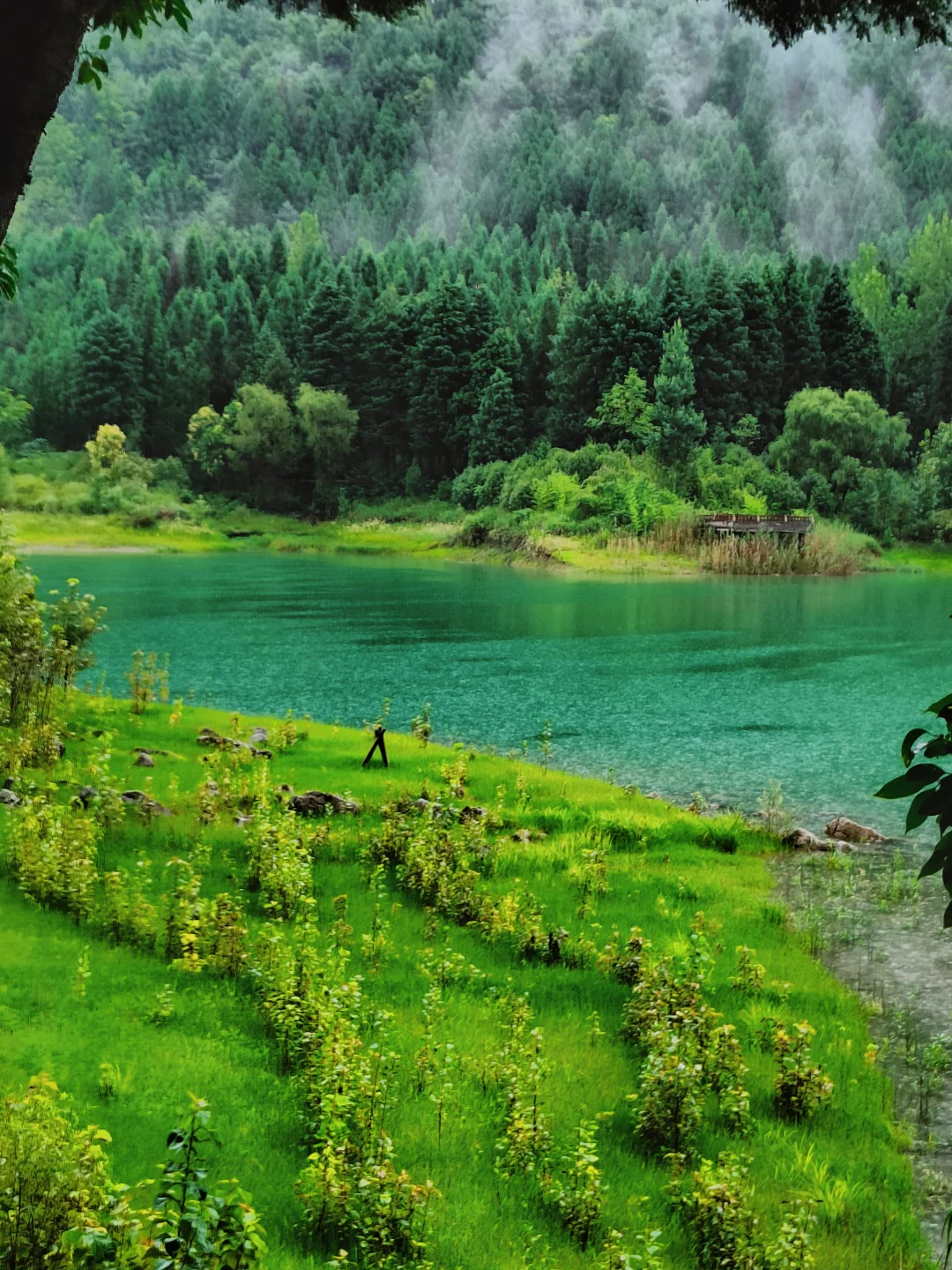 六盘水最惊喜的免费景点