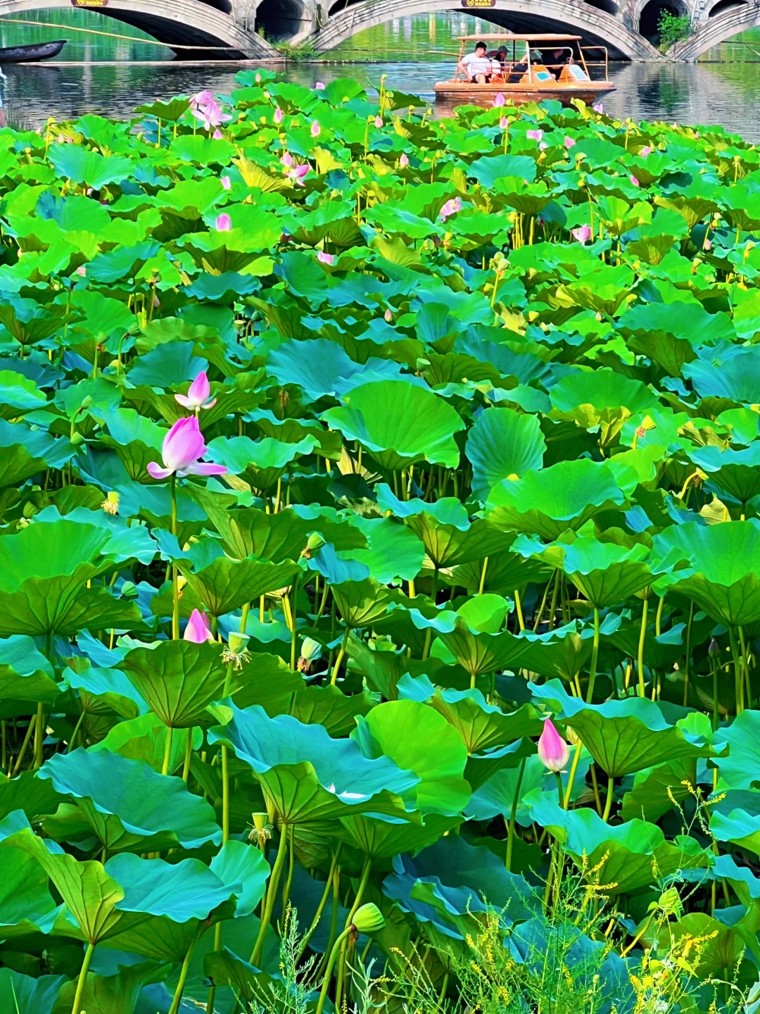第一次去避暑山庄？门票路线一篇搞定