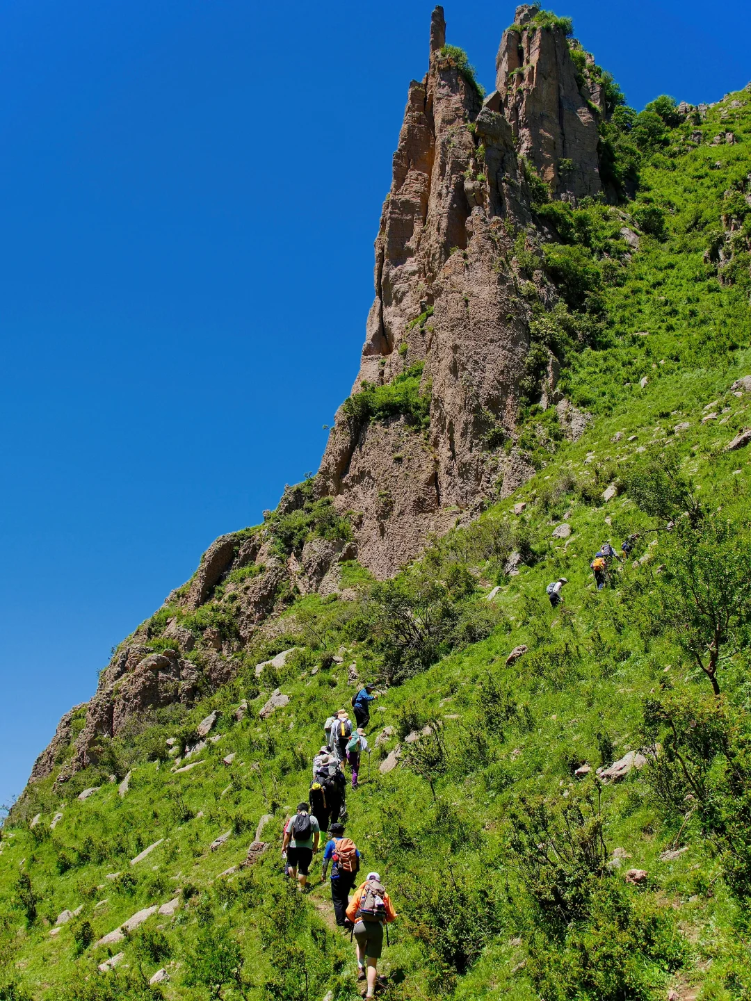 “读错过的举个手，这里是河北蔚（yù）县”