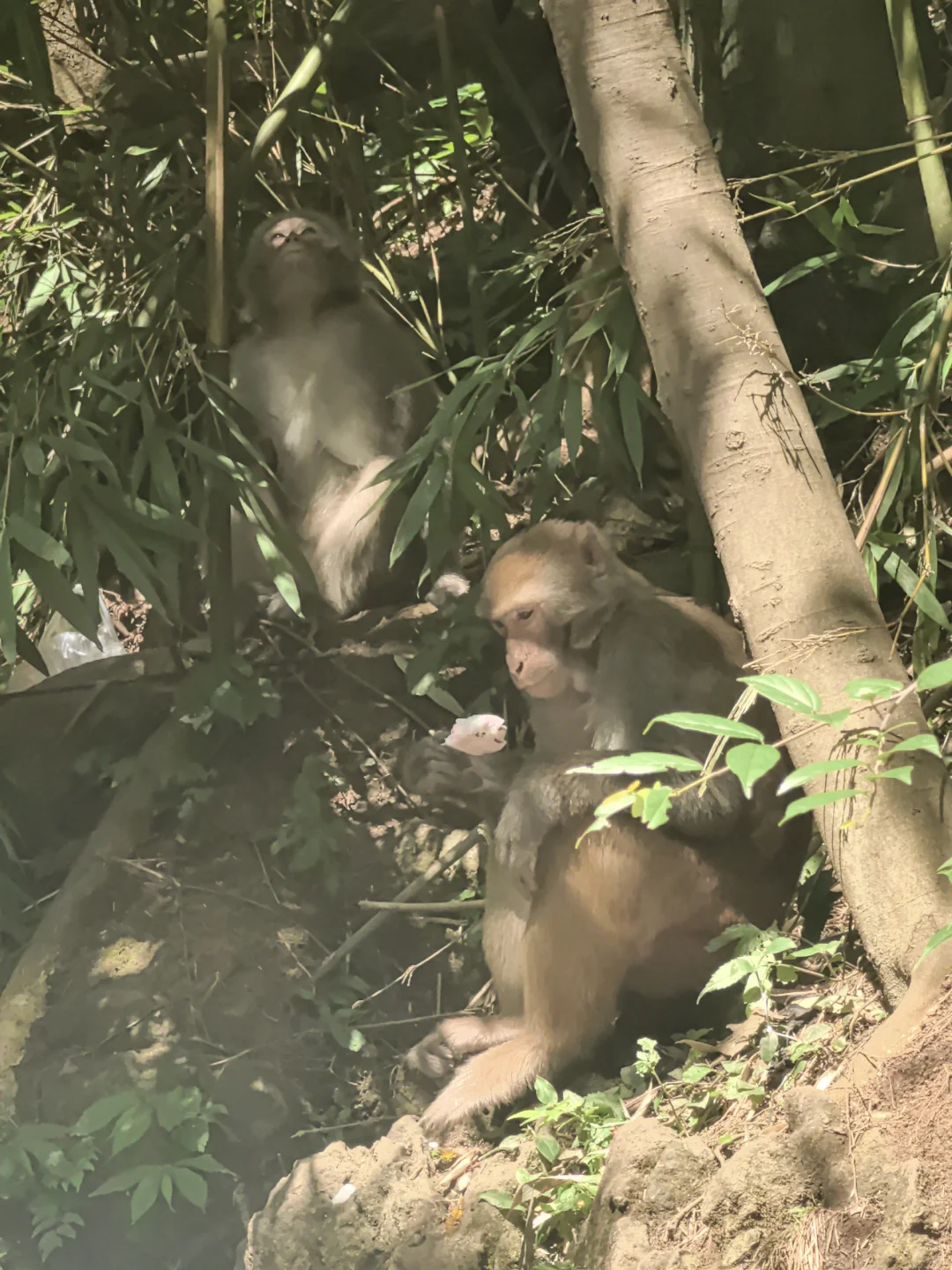 避雷贵州热门景区！