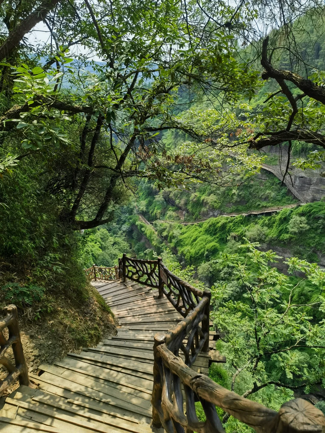 一次讲清楚！怎么免票玩剑门关+翠云廊！