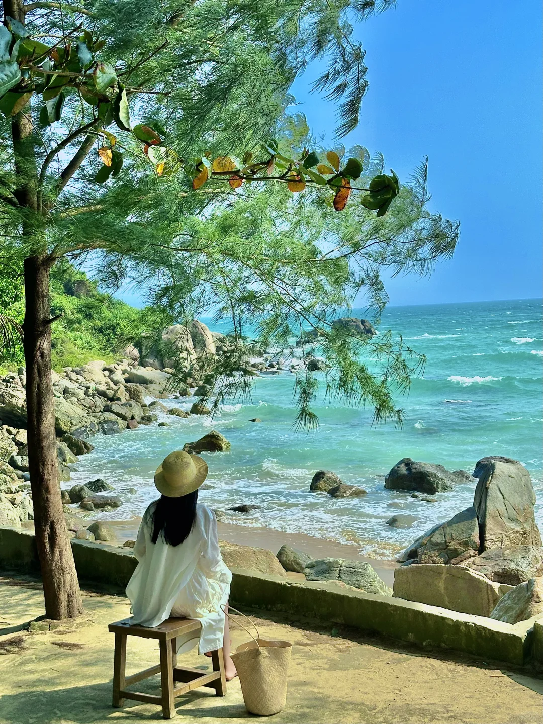 美哭了😭为了这18张live图专门去了一趟万宁