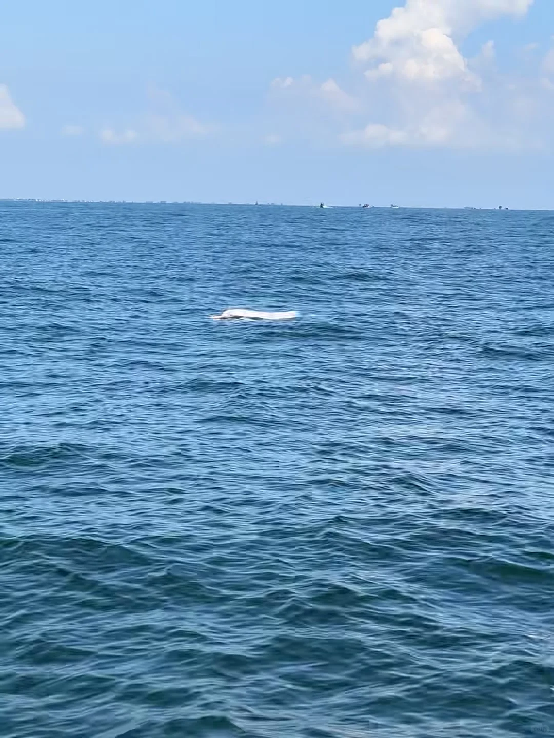 在三亚和崇左间选了崇左，娃玩的不想回家😭