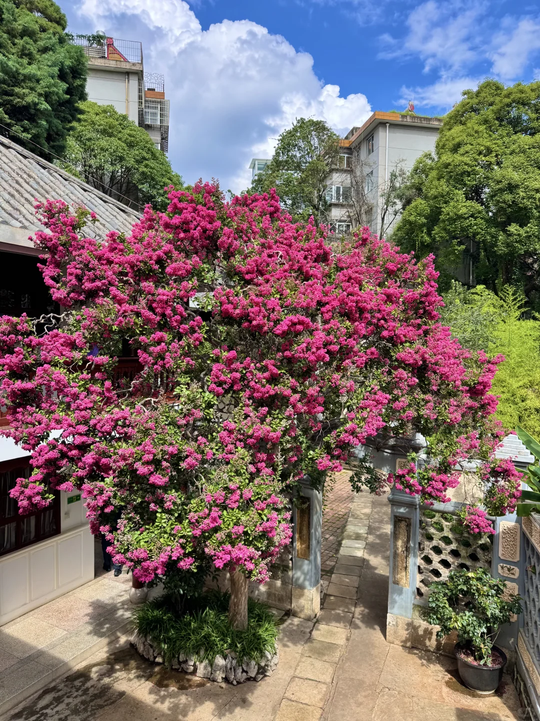 昆明。。。果然最牛逼的地方都是免费的！（合集）