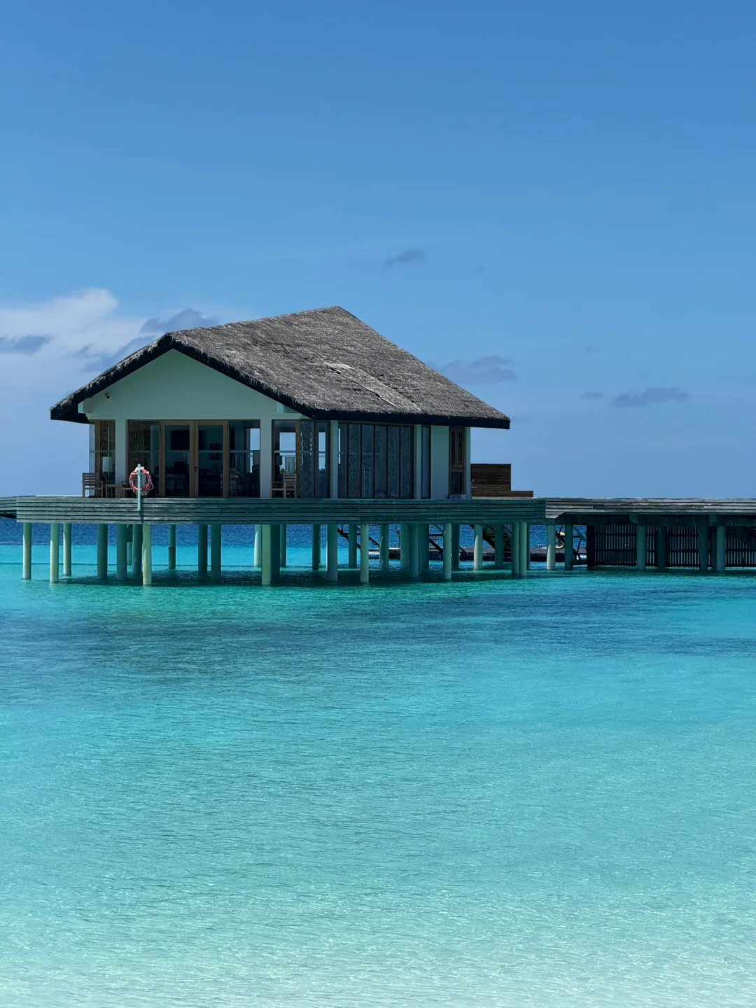 马尔代夫戒断反应🇲🇻