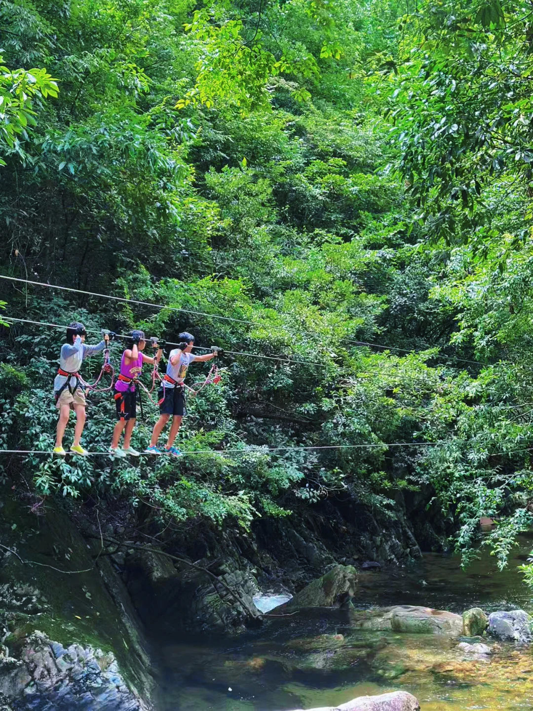 四天三晚💦带娃玩黄山森林溯溪，攻略直接抄