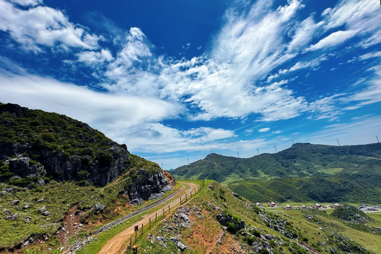甘为牛马者｜藏着天地心【阿西里西】