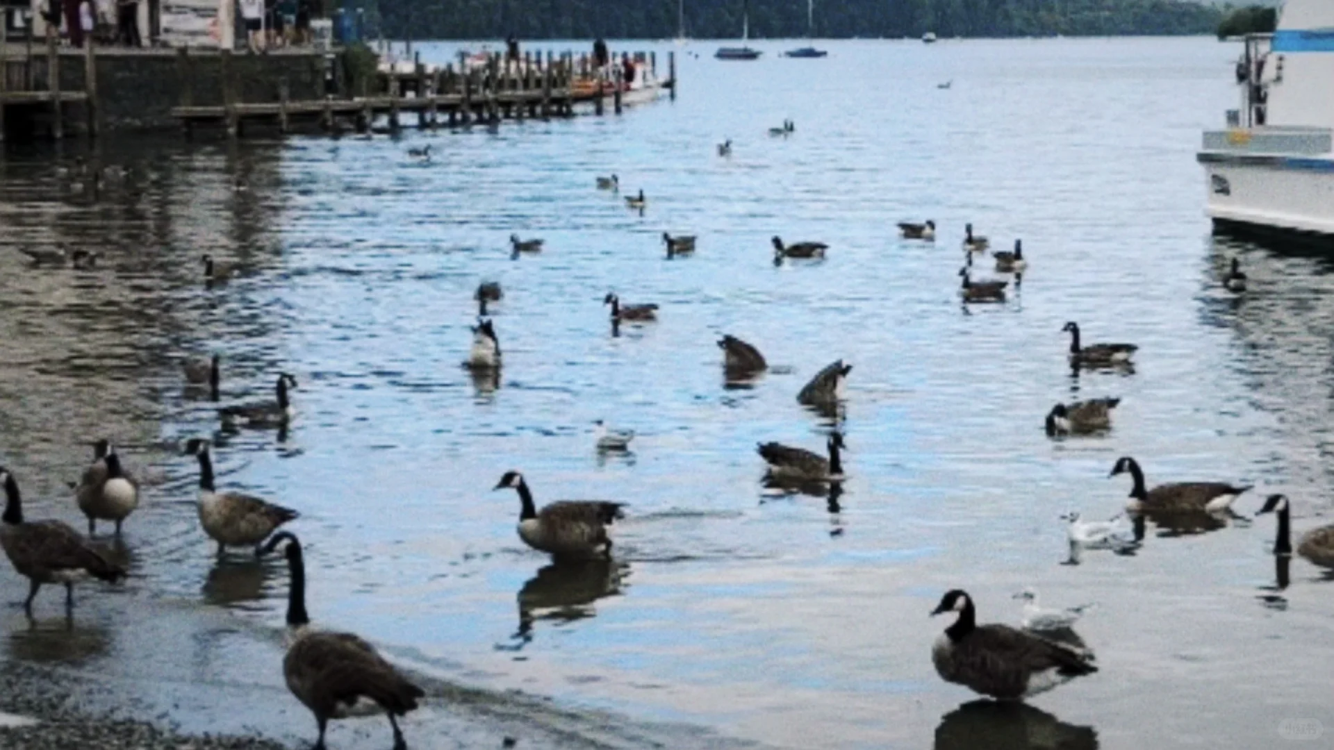 英国旅游记录｜02