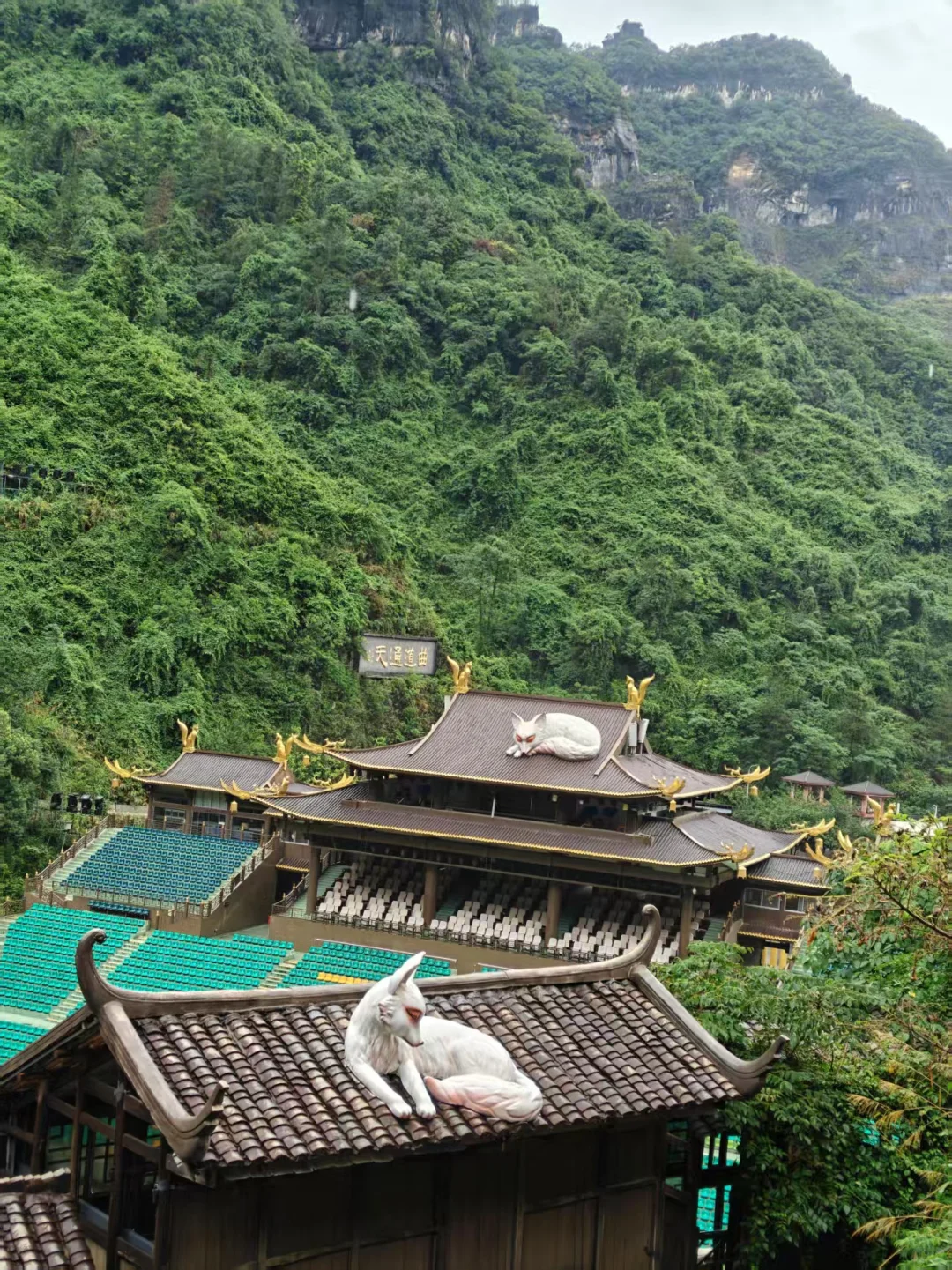 张家界 一个还会再来的地方⛰️⛰️