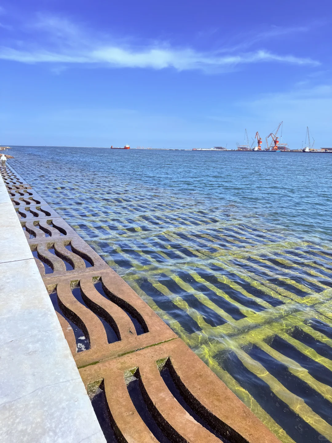 7.6实拍！天津这海很干净‼️免费人少还出片📷