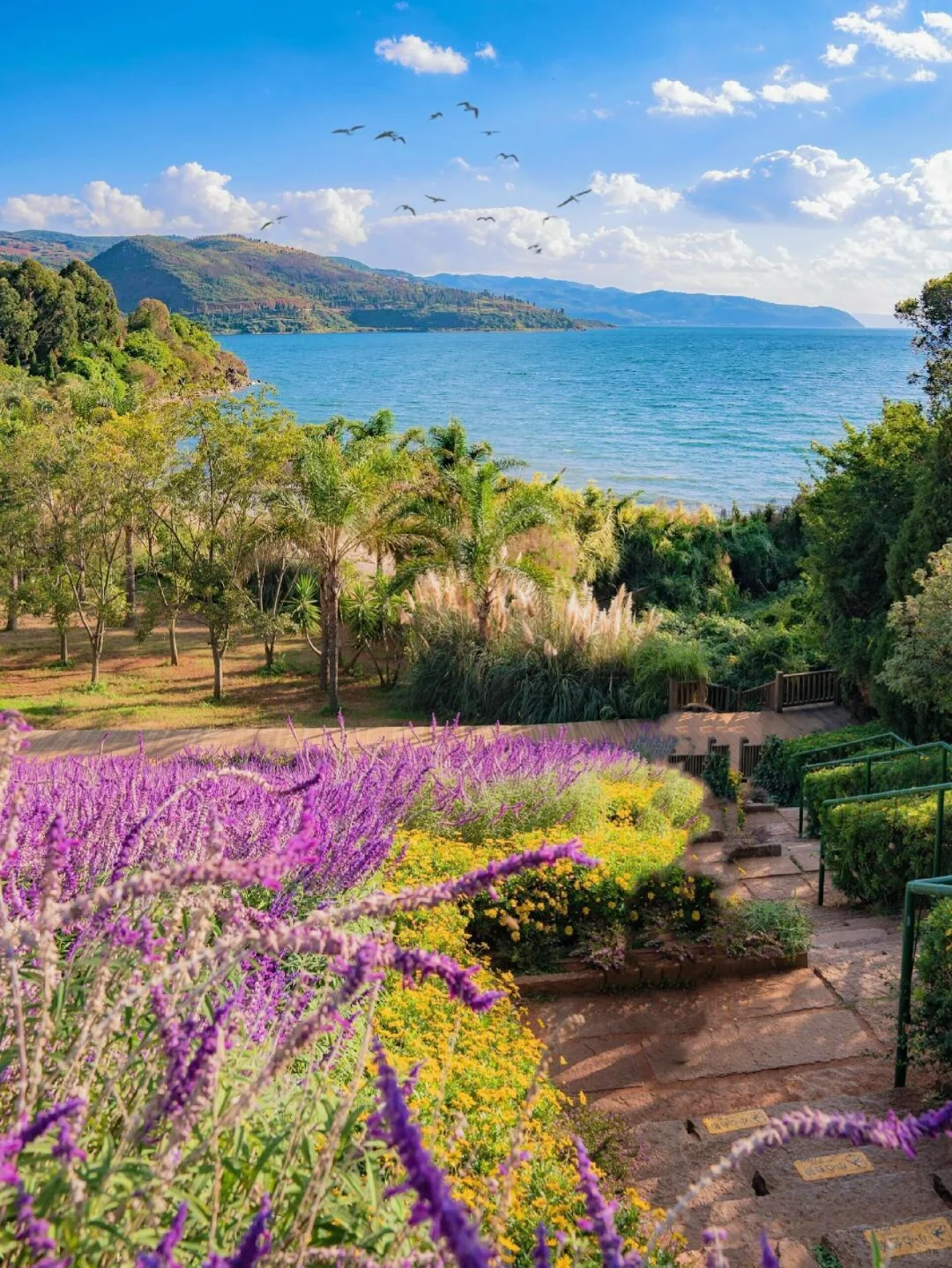 比起丽江大理，这才是夏季22°C最佳旅行地！