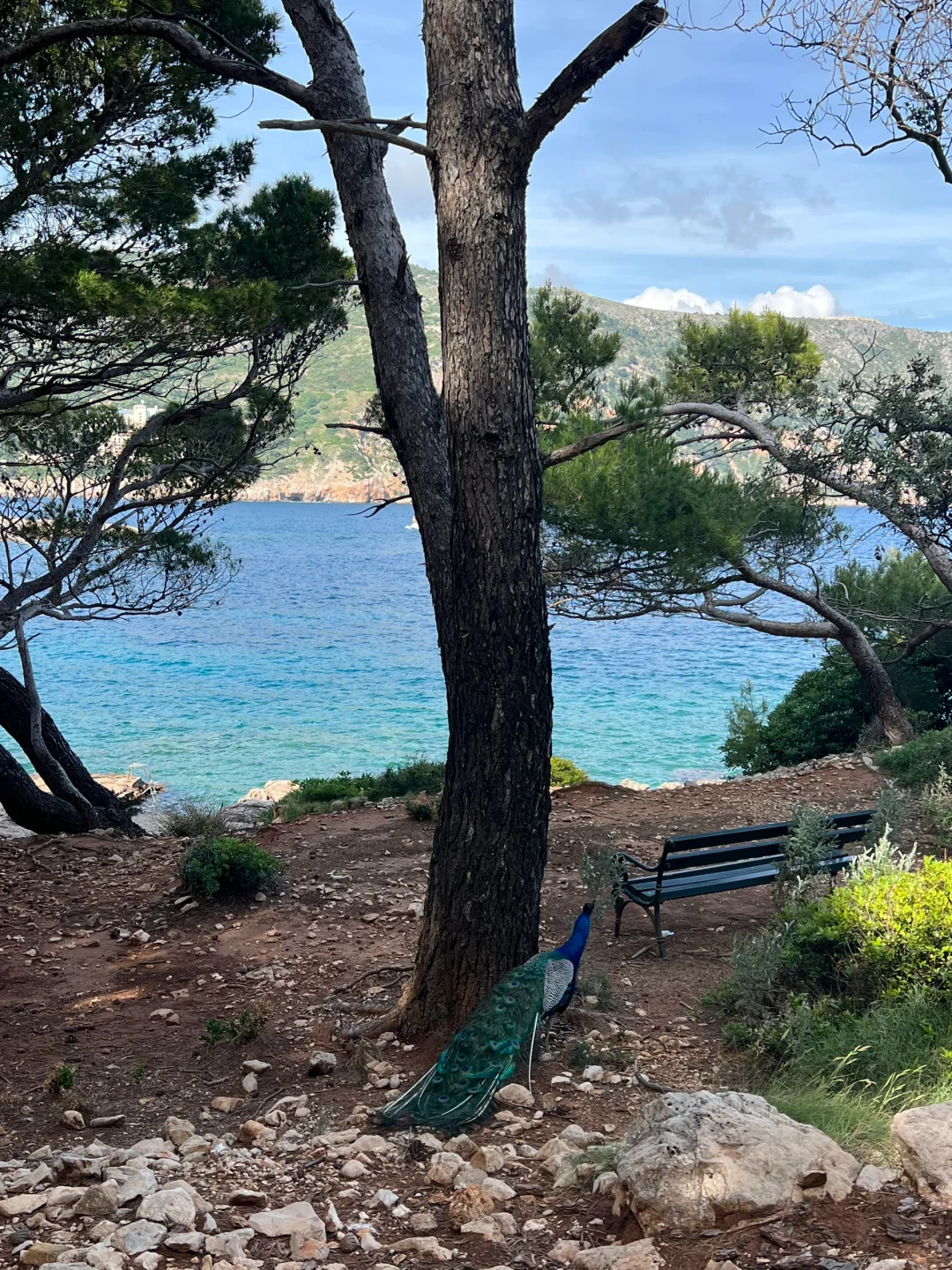 🇭🇷克罗地亚｜溢价到比巴黎还贵…