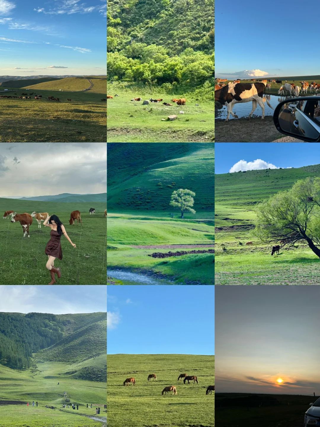 红石崖↔️市区 每日往返 随走随停🚗